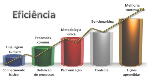 Níveis de Maturidade em Gerenciamento de Projetos